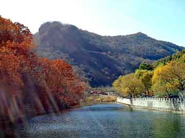 日本高清免费色视频，天使之翼小说